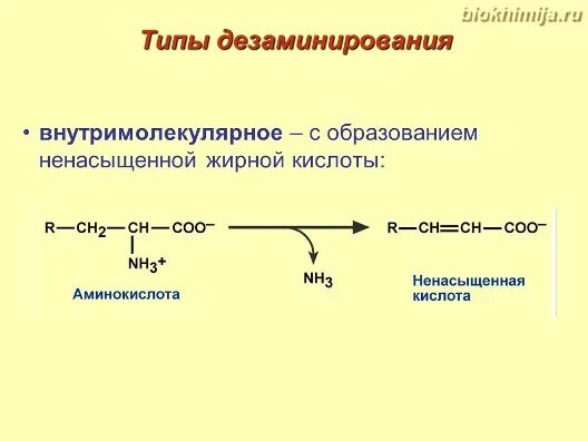 Непрямое окислительное дезаминирование. Прямое окислительное дезаминирование аминокислот. Окислительное дезаминирование триптофана. Дезаминирование аминокислот биохимия.