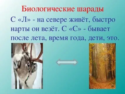 Что бывает после лета
