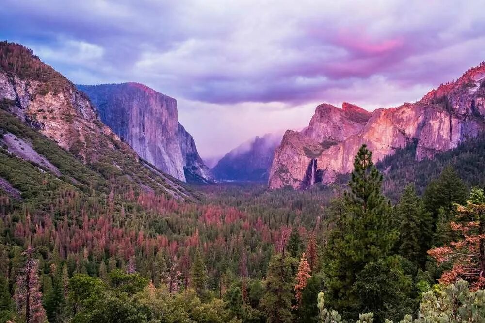 Известные парки сша. Долина Йосемити, США. Национальный парк Йосемити, США. Йосемитская Долина Сьерра-Невада.