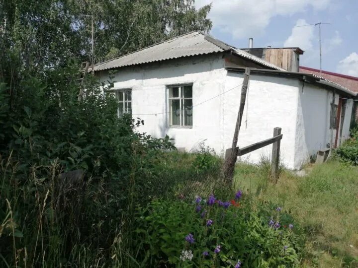 Ворониха алтайский край. Погода в клочках алтайский край ребрихинский. Погода в клочках алтайский край ребрихинский. Погода в клочках алтайский край ребрихинский. Клочки алтайский край ребрихинский.