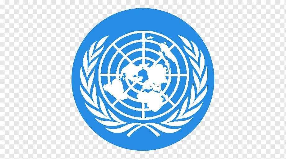 Знак конвенции. Организация Объединенных наций эмблема. Совет безопасности ООН эмблема. Генеральная Ассамблея ООН эмблема. Флаг организации Объединенных наций.