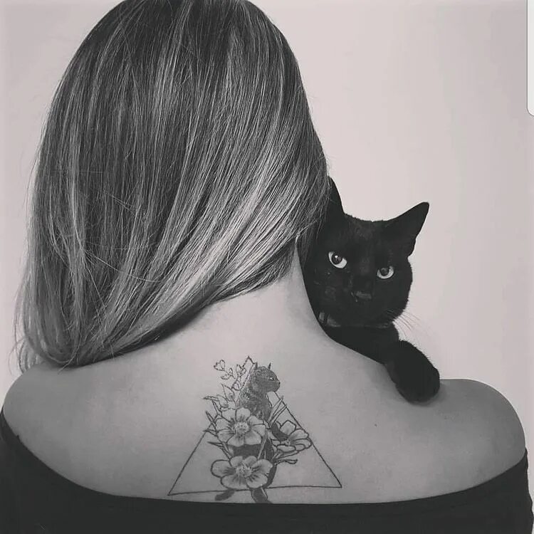 Tati cat. Тату кошка. Татуировки кошки для девушек. Тату кошка на спине для девушек. Тату кошки на плече для девушек.