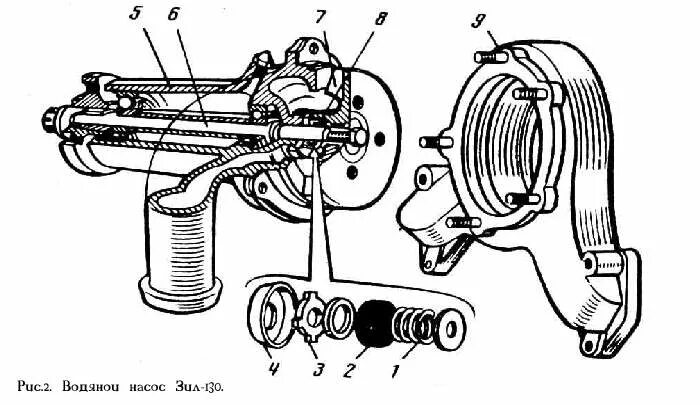 Охлаждения зил 131. Водяной насос ЗИЛ 130 схема. Водяной насос системы охлаждения двигателя ЗИЛ-130. Помпа ЗИЛ 130 устройство. Помпа ЗИЛ 131.
