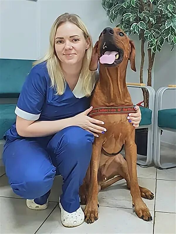 Dr pets. Dr. Pets ветклиника доктора.