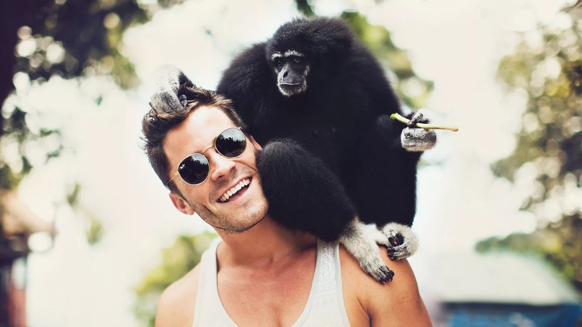 Браки мужчин обезьян. Бэйл обезьяна. Мужик обезьяна. Мартышка и парень. Обезьяна на плече.