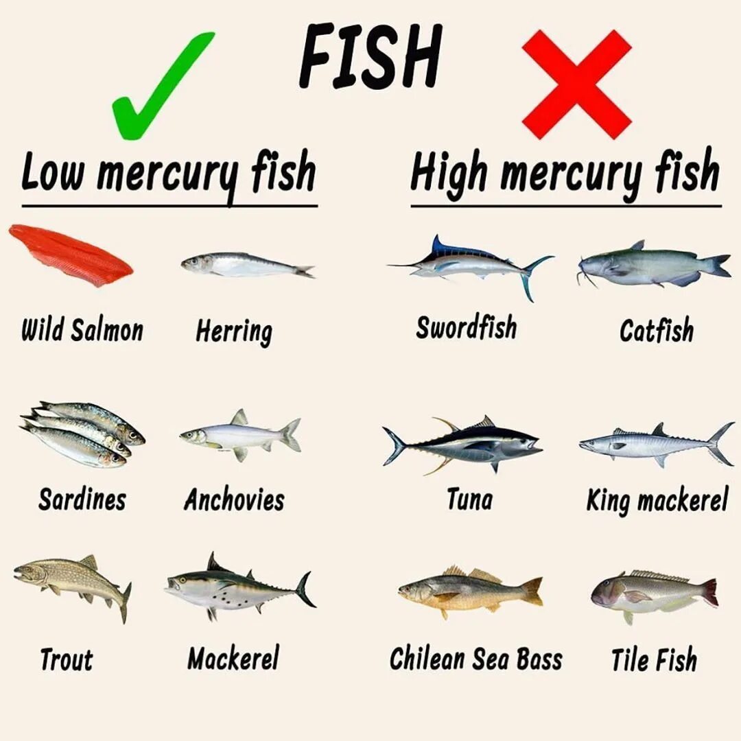 Darling montell fish. Slick rick. Montell fish altitude. Montel fish перевод. Montel fish перевод.