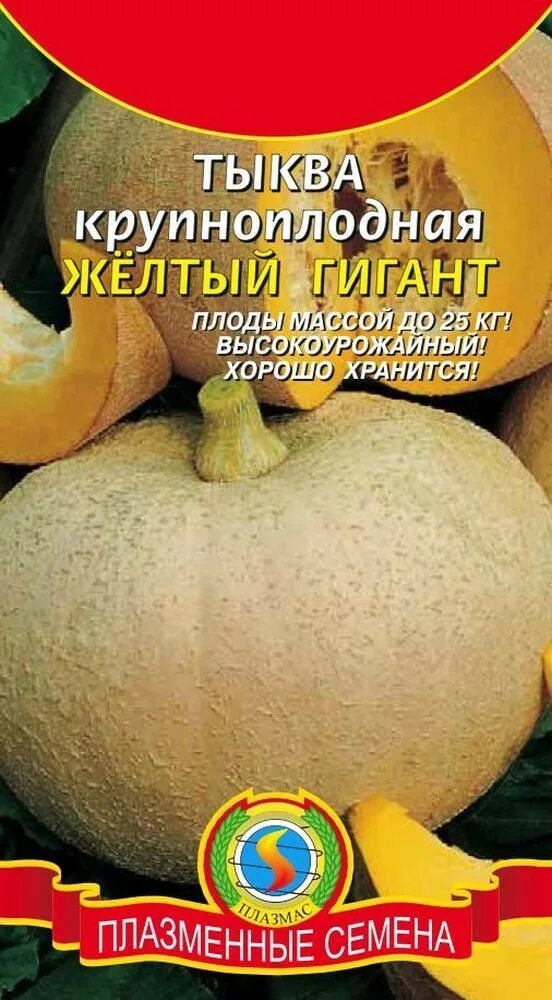 Тыква желтая сорт. Тыква крупноплодная. сорт тыквы бюргер. тыква желтый гигант. тыква желтый великан.