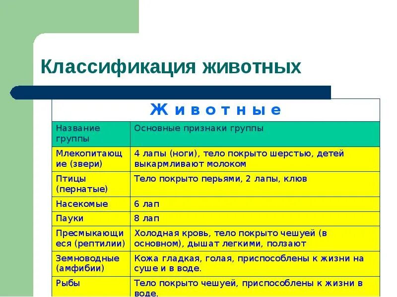 Названия групп животных. Признаки групп животных. как называются группы животных. название 4 групп животных.