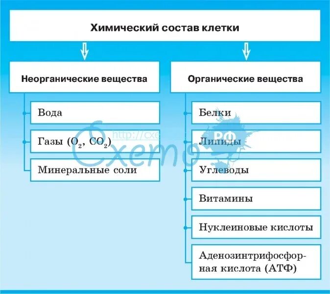 Химический состав клетки функции веществ. Химические вещества входящие в состав клетки таблица. Химический состав клетки неорганические вещества клетки таблица. Органический и неорганический состав клетки таблица. Хим состав клетки схема.