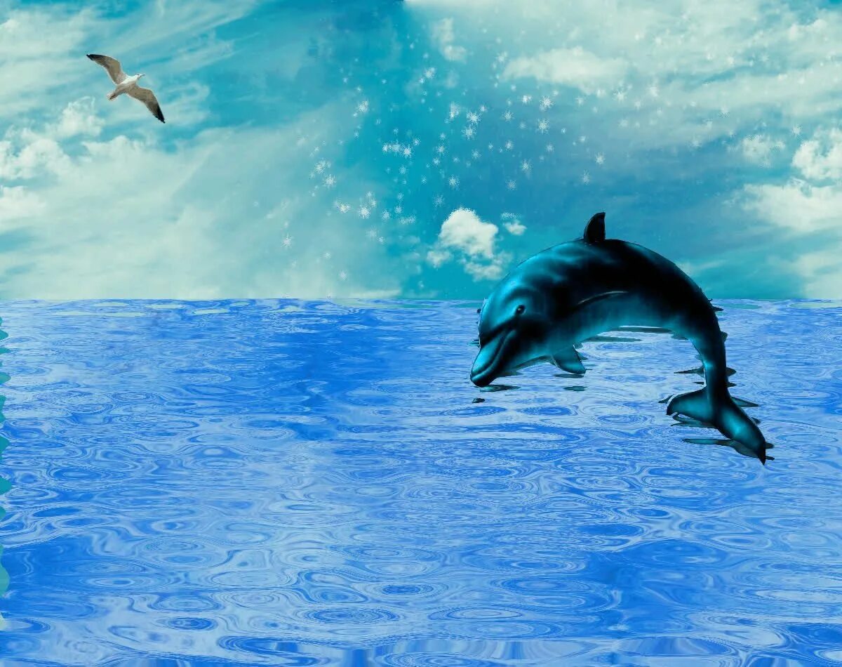 Морской Дельфин. Дельфины в океане. Красивые дельфины. Дельфин в воде. Живая природа дельфины