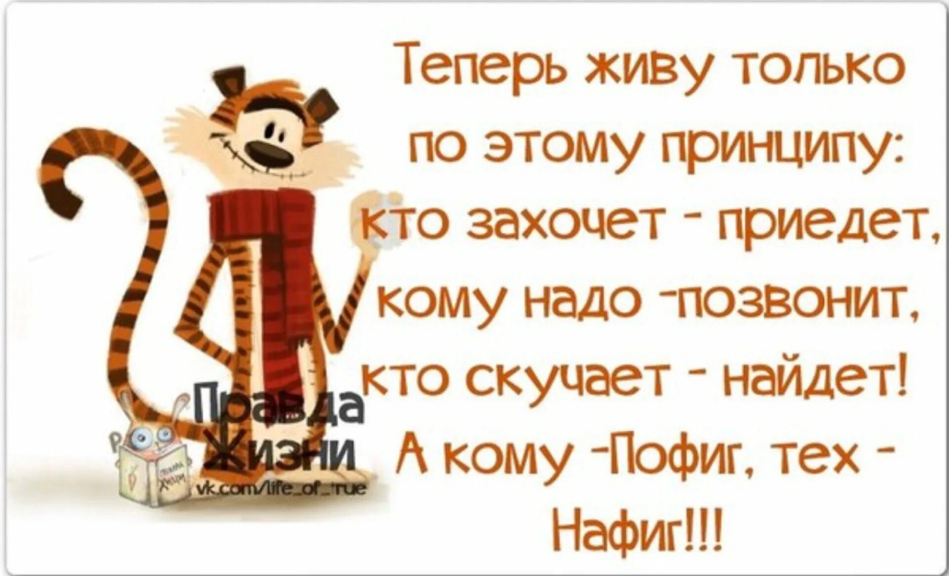 Теперь можно жить. Смешные высказывания в картинках про жизнь. Смешные цитаты. Афоризмы про пофигизм. Афоризмы в картинках.