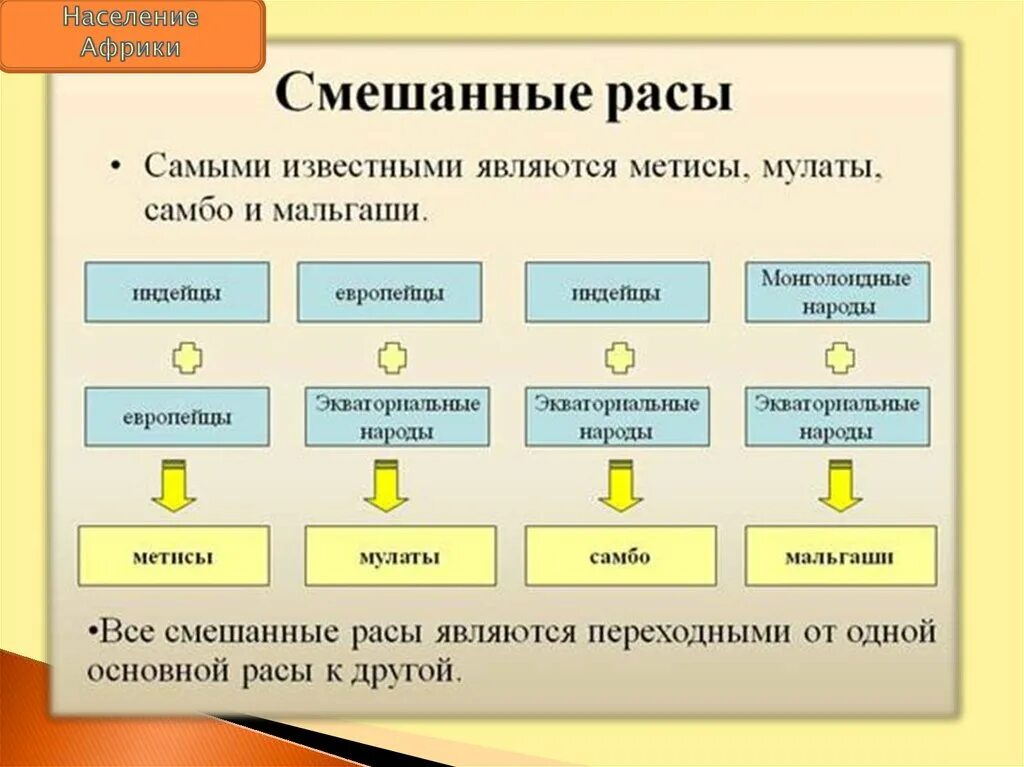 Смешанные расы. Основные и смешанные расы. Расы смешанные расы. Смешанные расы схема.