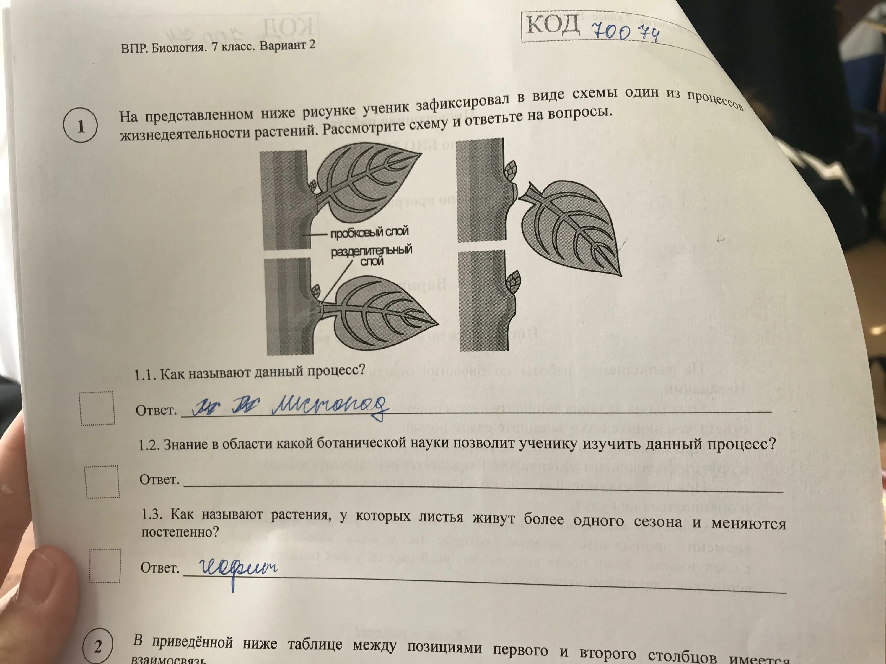 Впр по биологии 7 класс