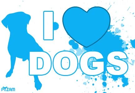 I love dogs 7 7