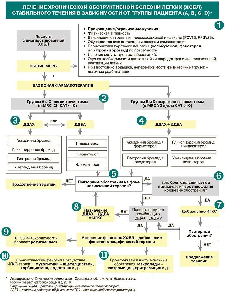 Национальные рекомендации лечения. ХОБЛ клинические рекомендации 2021. Схема терапии ХОБЛ. Ступенчатая терапия ХОБЛ клинические рекомендации. Голд принципы терапии ХОБЛ.