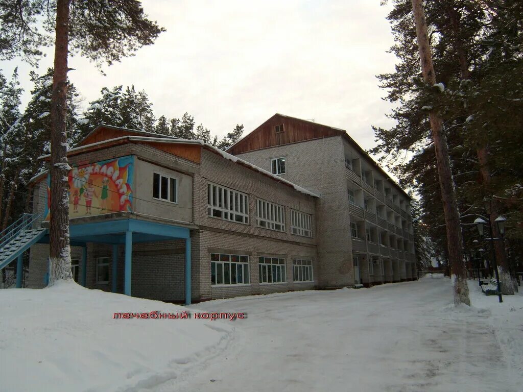 Белокуриха детский санаторий белокуриха. Фгбу детский санаторий белокуриха. Детский санаторий белокуриха алтайский край. Детские санатории алтайского края. Детский санаторий белокуриха алтайский край.