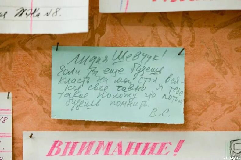 Плакаты в коммунальной квартире. Коммуналка плакат. Надписи в коммуналках на кухне. Объявления в коммуналке. Правила коммуналки.