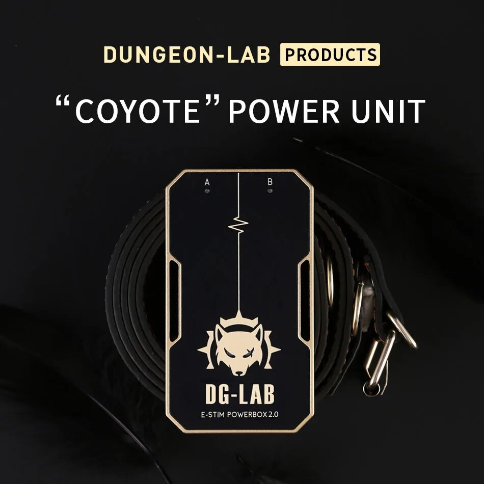 Dg lab coyote. Dg lab coyote