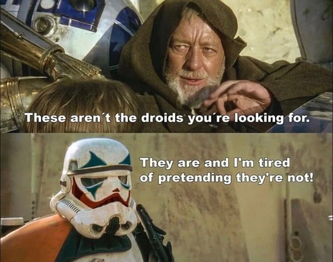 They re looking you