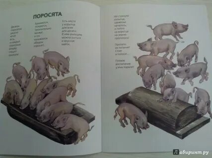 Книга вот они какие