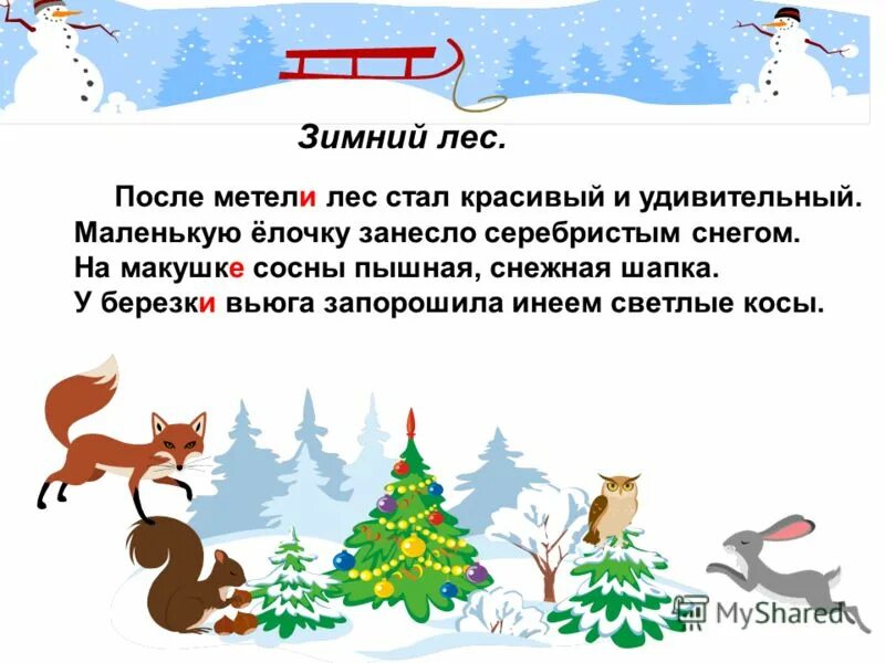 предложение ночная вьюга украсила лес. фото с текстом. русский язык 6 класс бунеев. зимний лес ночью. подготовка к впр 7 класс русский язык дергилева.