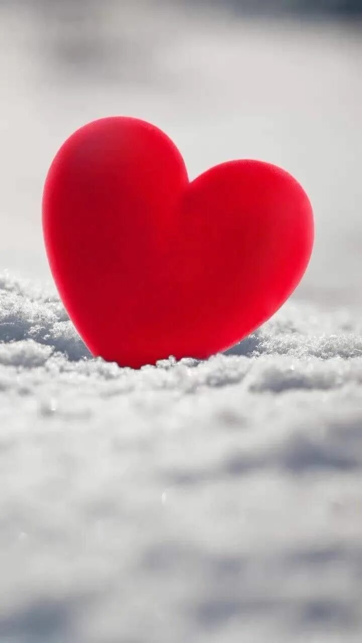 Фон для рабочего стола любовь. For love your heart. God bless your family. Love words. Love.