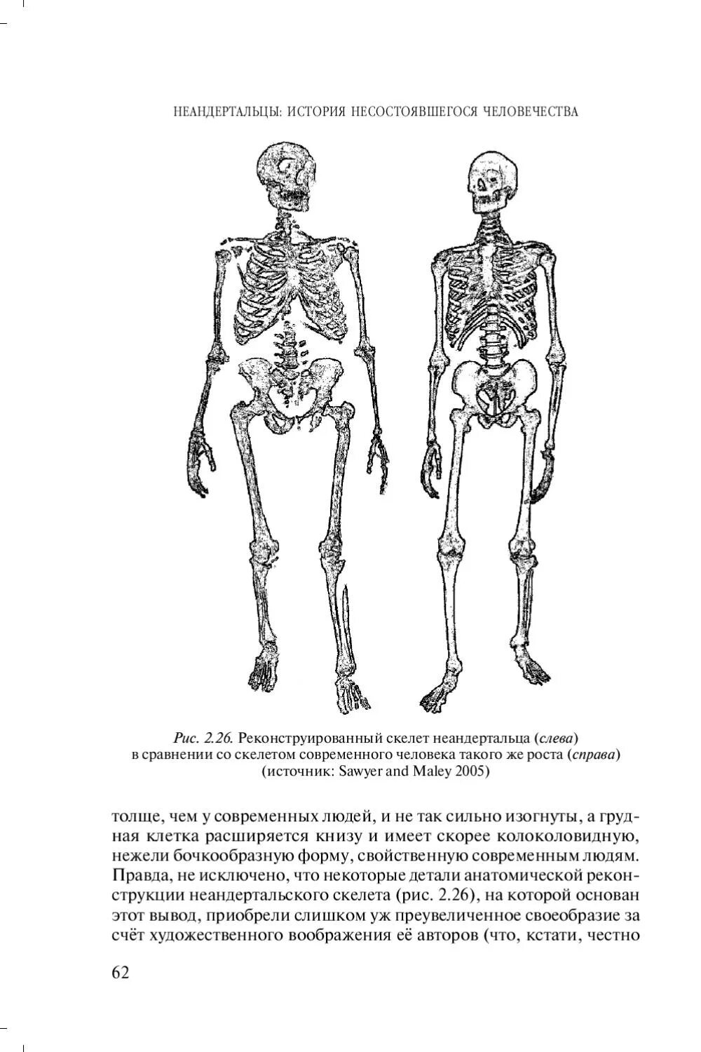 Особенности строения неандертальца. Скелет неандертальца и человека. Вишняцкий л.б. неандертальцы: история несостоявшегося человечества. Строение тела неандертальца. Скелет неандертальца и человека сравнение.