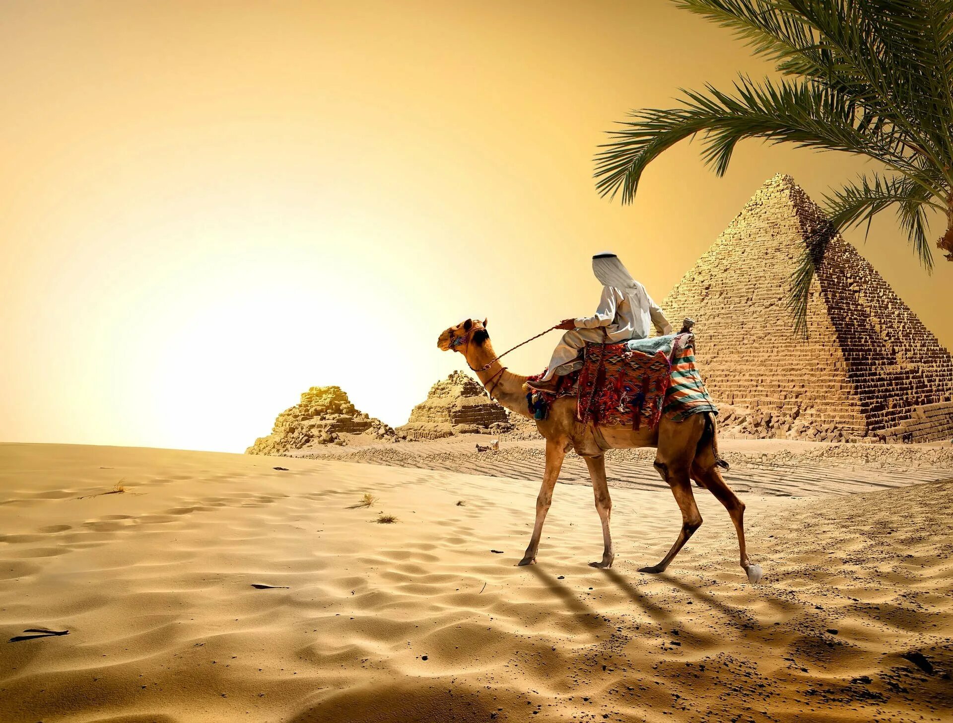 Арабские страны путешествия. Бедуины в Египте. Шарм-Эль-Шейх пустыня. Шарм Эль Шейх верблюд. Египет пирамида Каир верблюд пальмы.