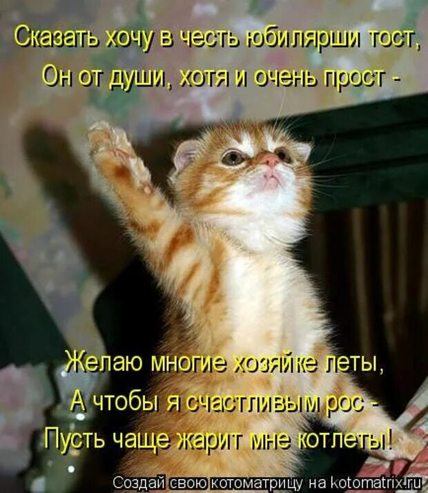 Здравствуйте товарищи начинаем программу