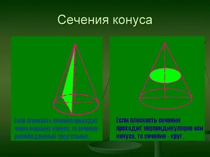 Сечение конуса плоскостью перпендикулярной