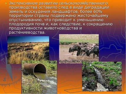 Сельское хозяйство экстенсивные технологии коллективный