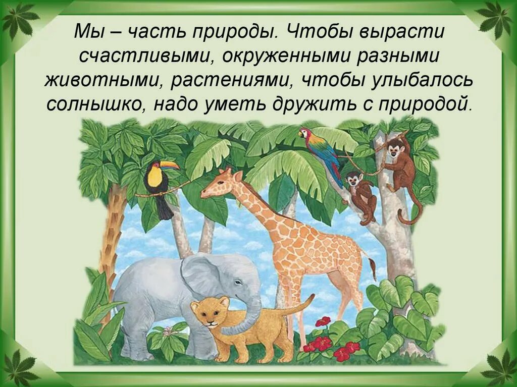 Животные часть природы. Мы друзья природы. Презентация друзья природы. Мир природы презентация для детей.