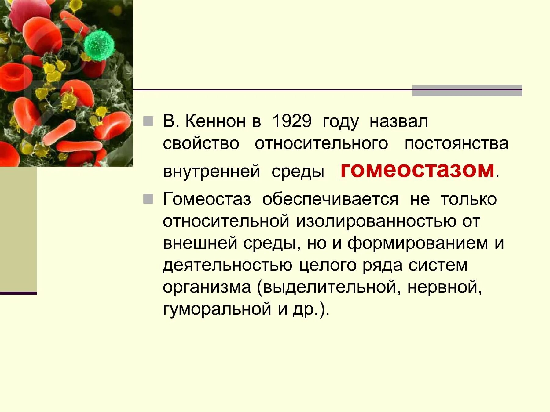 Кровь биология 11 класс. Состав крови постоянство внутренней среды. Внутренняя среда организма гомеостаз. Кровь значение крови презентация. Гомеостаз это в биологии.