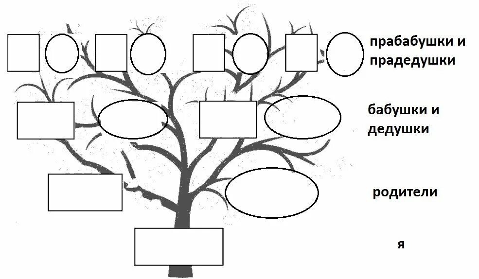 Оформление родословной 2 класс окружающий мир. Семейное Древо снизу вверх. Генеалогическое дерево семьи снизу вверх. Схема родословного дерева. Генеалогическое Древо рисунок.
