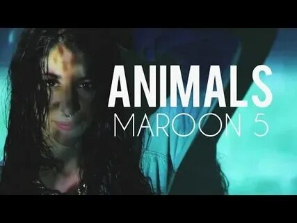Animal песня