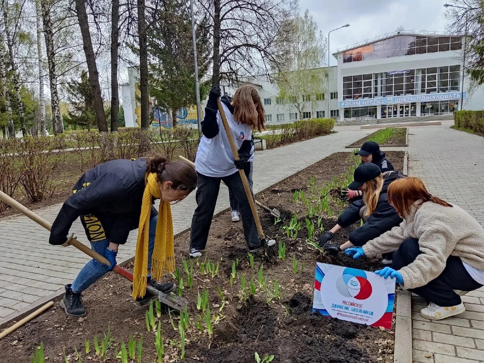 Бирск занятость. Служба занятости населения. Бирск башкортостан. Коммунистическая 97в бирск. Центр занятости салават.