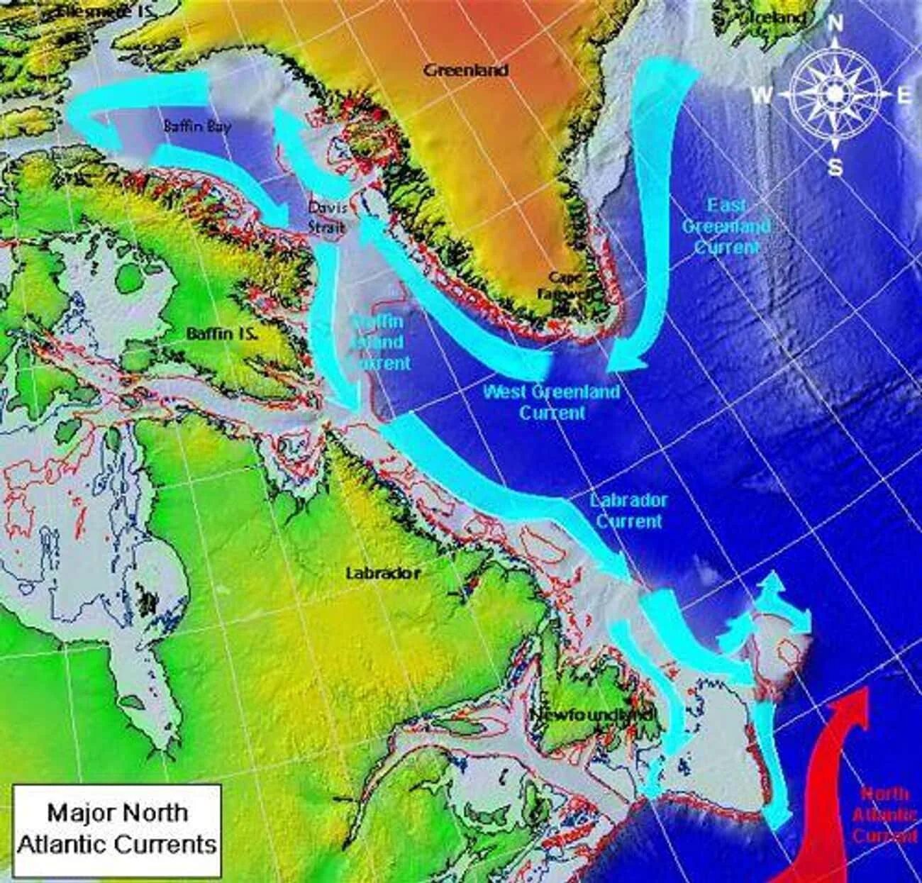 Теплые течения лабрадорское. Лабрадорское течение течения Атлантического океана. Восточно-Гренландское течение течения Атлантического океана. Восточно Гренландское течение на карте Северного Ледовитого океана. Восточно Гренландское течение на карте.
