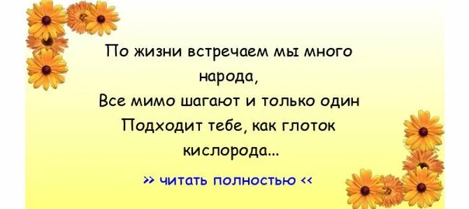 Умная свекровь приобретает дочь а глупая теряет сына. Страшная свекровь. Моя любимая свекровь сериал 2 сезон. Стихи для снохи. Желаю смерти свекрови.