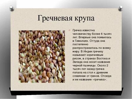 Откуда гречка