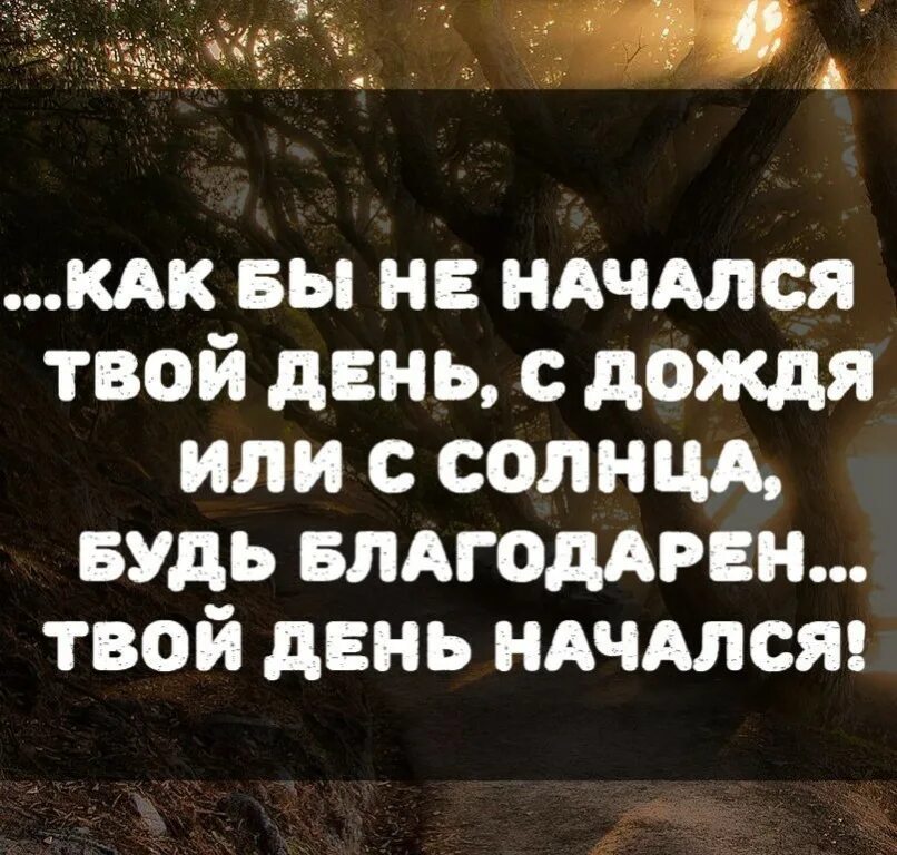 Афоризмы на тему счастье. Я благодарна трудностям они показали мне. Я благодарна жизни. Я благодарна жизни. Благодарна каждому человеку.