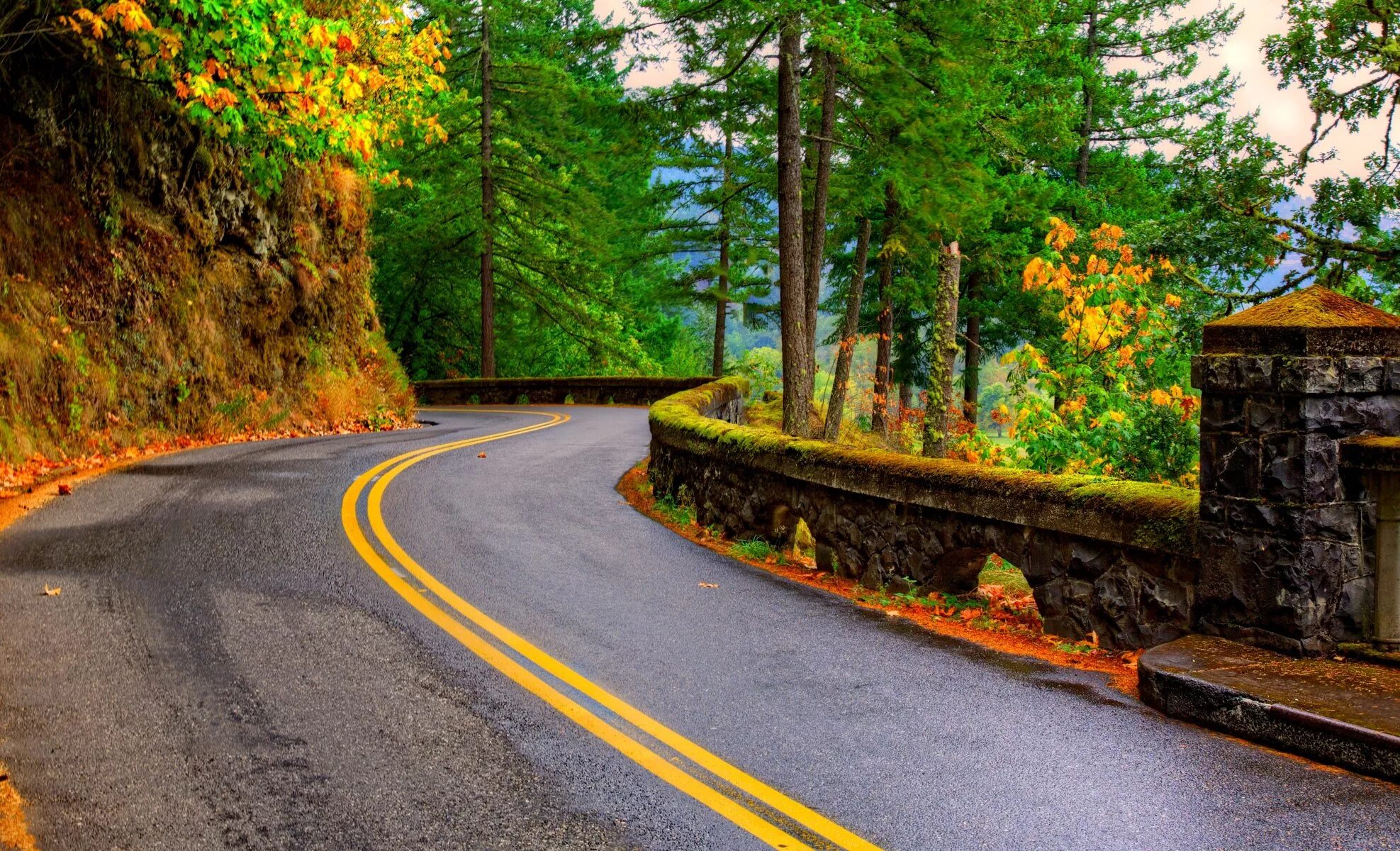 Дорога в красивом лесу. Осенняя дорога. Дорога в осень. Красивая дорога.