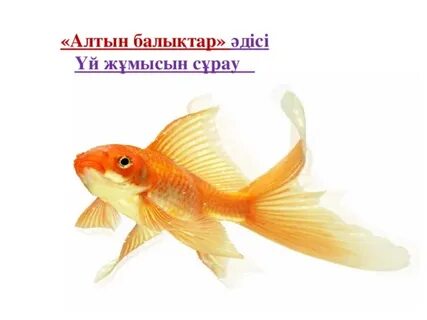 Жұлдыздармен жыныстық қатынас