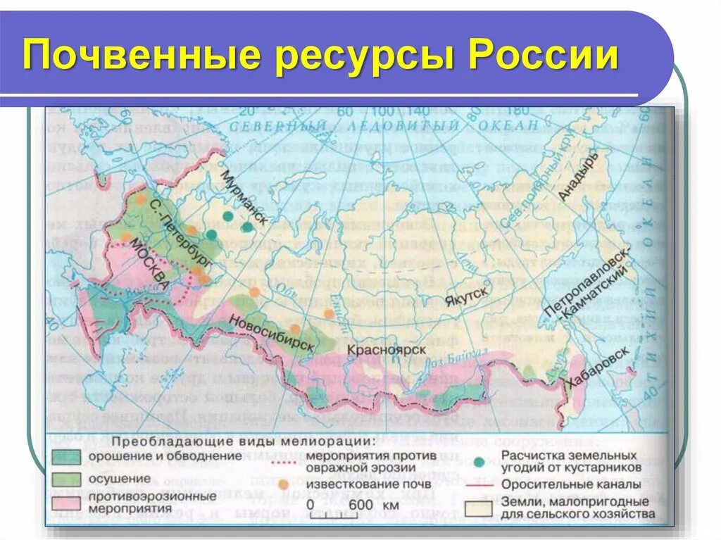 Типы городов россии 8 класс география. Почвы России 8 класс география контурная карта. География 8 класс почвы России почвенные ресурсы. Карта почвы России 8 класс география. Карта почв России 8 класс.