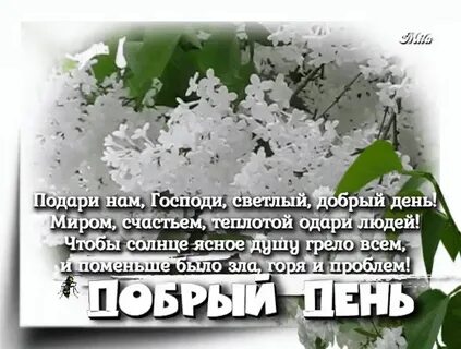 Светлый день слова