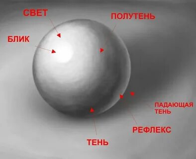 Свет тень полутень рефлекс блик в рисунке.