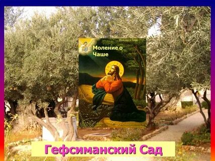 Пастернак гефсиманский