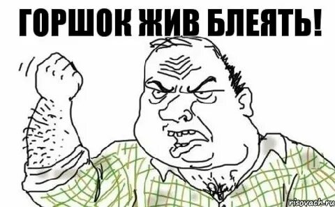 Горшок жив