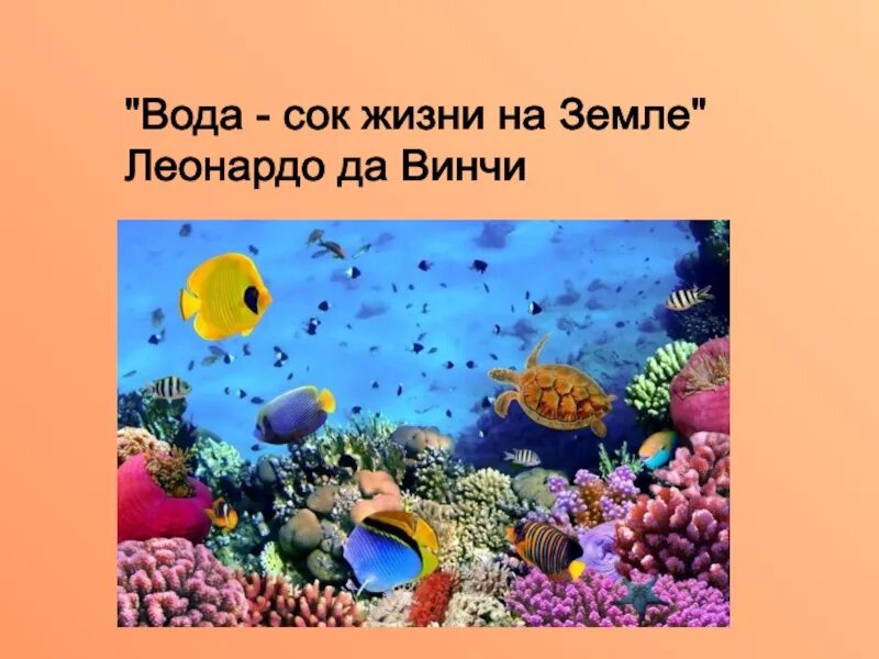 Живые организмы водной среды. Обитатели водной среды обитания. Водная среда обитания организмов. Организмы живущие в водной среде. Каковы особенности живых организмов в океане