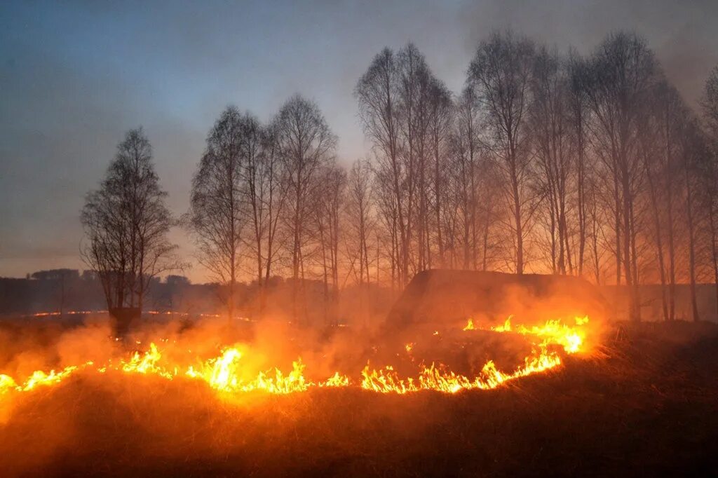 Сжигание полей. Пал травы. Пожар в лесу весной. Весенние палы травы. Пал сухой травы.