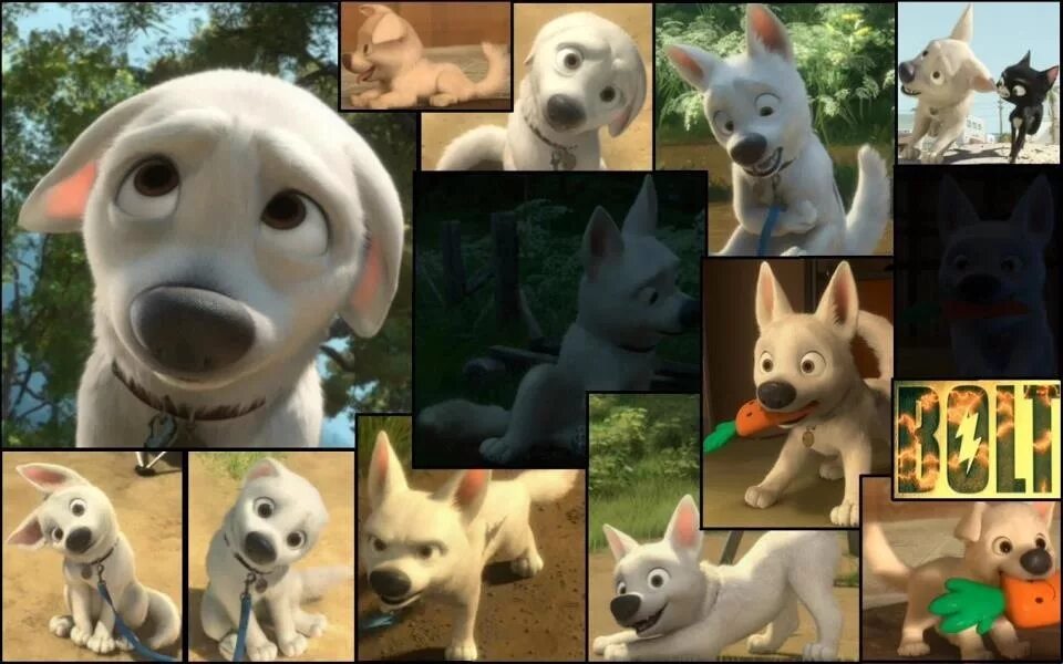собака похожая на вольта. вольт порода собаки. овчарка. вольт собака в реальной жизни. пес вольт мультфильм.